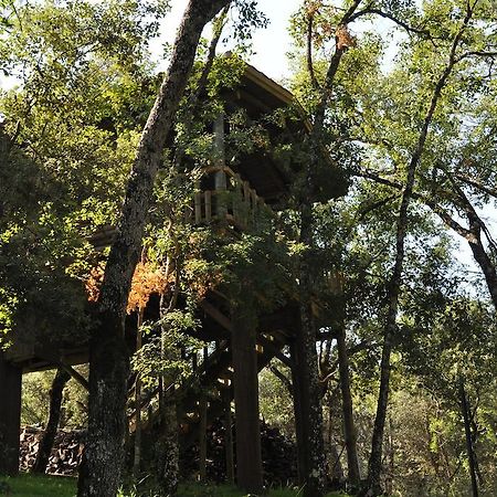 Los Nidos De Santa Maria Arroyo Frio Exterior photo